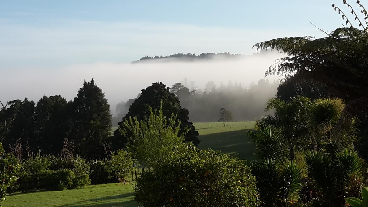 Vinegar Hill Bed & Breakfast Kauri Ngoại thất bức ảnh